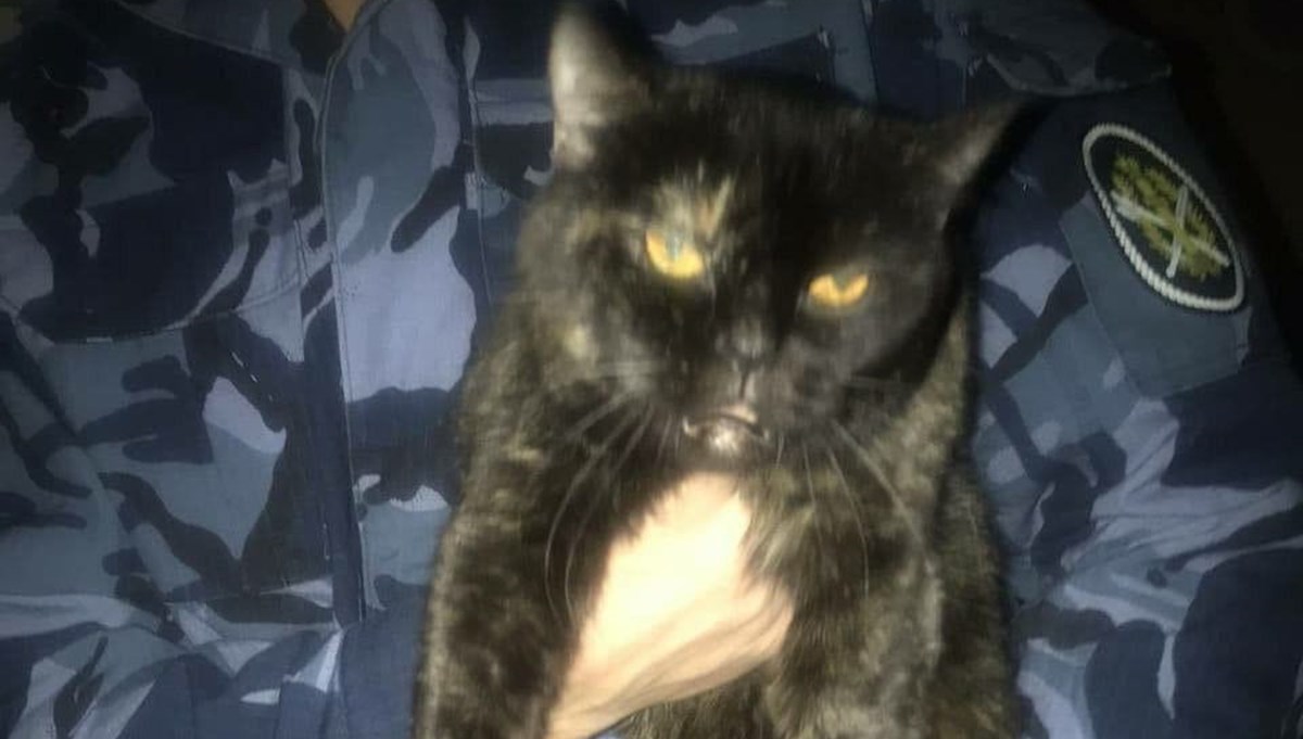 Rusya’da hapishane içinde uyuşturucu taşıyan kedi yakalandı