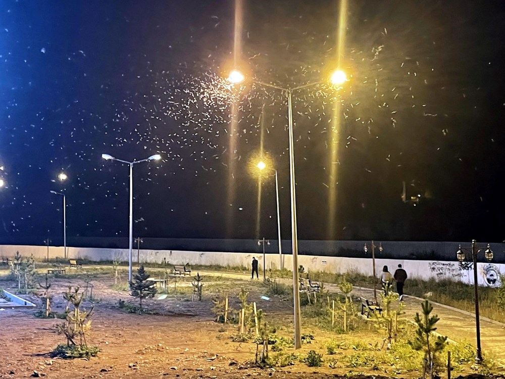 Ardahan'da 'bir günlükler'in ölüm uçuşu başladı - 7