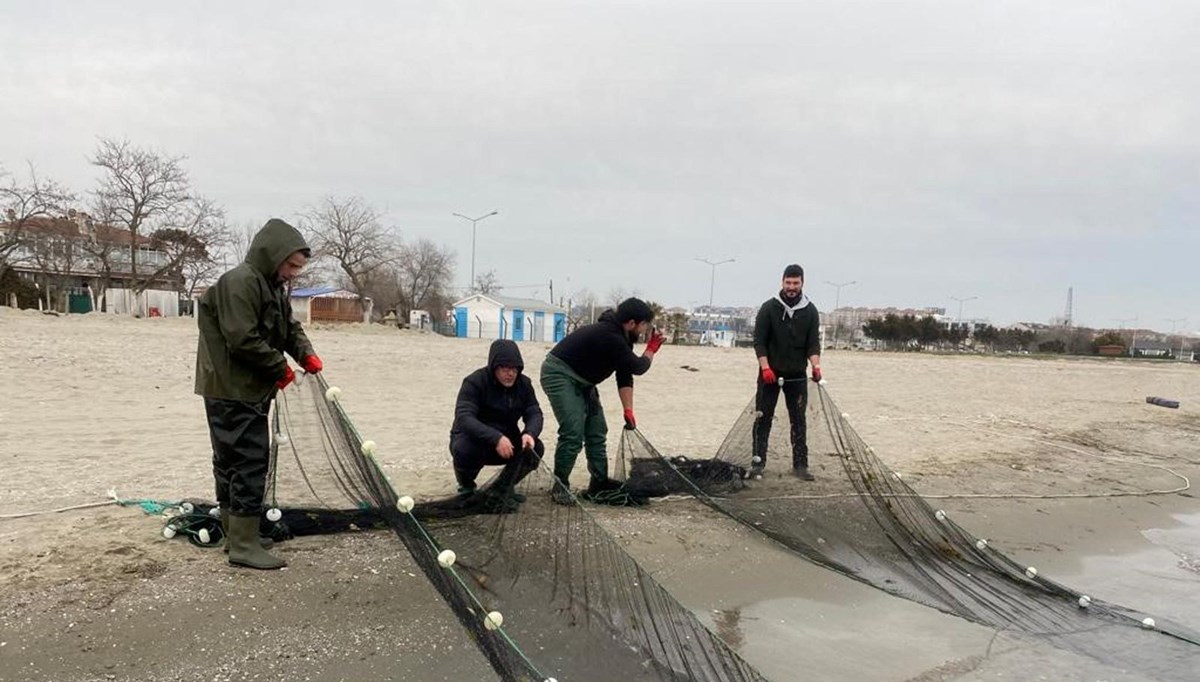Marmara Denizi'nde müsilaj: Balıklar üzerinde etkisi var mı?