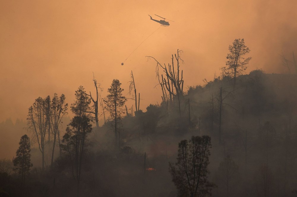 California'da 8 bin kilometrekare alan yandı, rekor kırıldı - 20