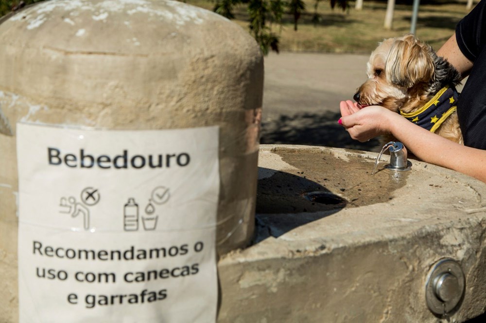 Dünyada corona virüs nedeniyle her 15 saniyede bir kişiölüyor - 6