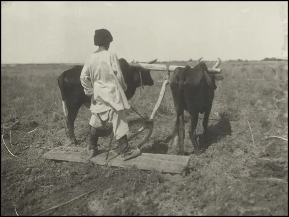 Bilim kurgu değil Türk boylarının 111 yıllık fotoğrafları. Gizemli heykeller, gelişmiş aletler, tanıdık kıyafetler (106 fotoğrafla gizemli Türk tarihi) - 55