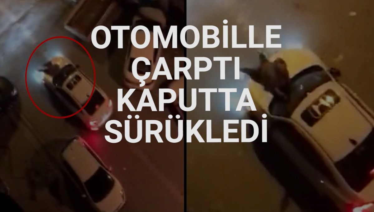 Esenyurt'ta park kavgası Esenyurt'ta park kavgası