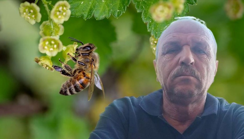 Arı sokması sonucu fenalaşan adam öldü
