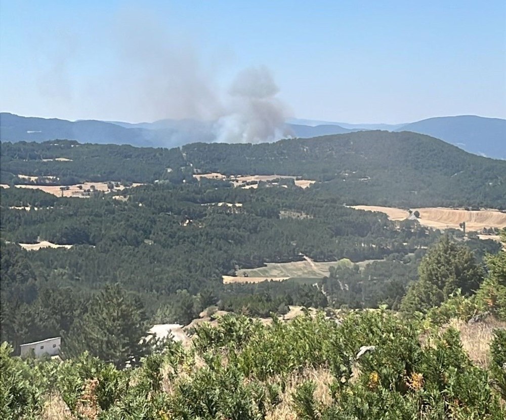 Bolu, Çanakkale, Manisa, Mersin ve Aydın'da orman yangını: Bir köy boşaltıldı - 4