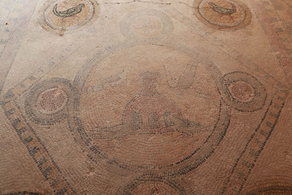 Balatlar Kazısı’nda, Zeugma'dakilere benzer mozaikler bulundu - 12