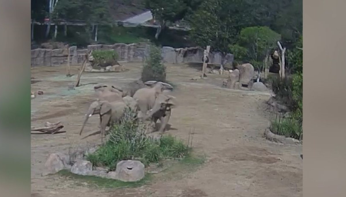 Fillerden uyarı çemberi