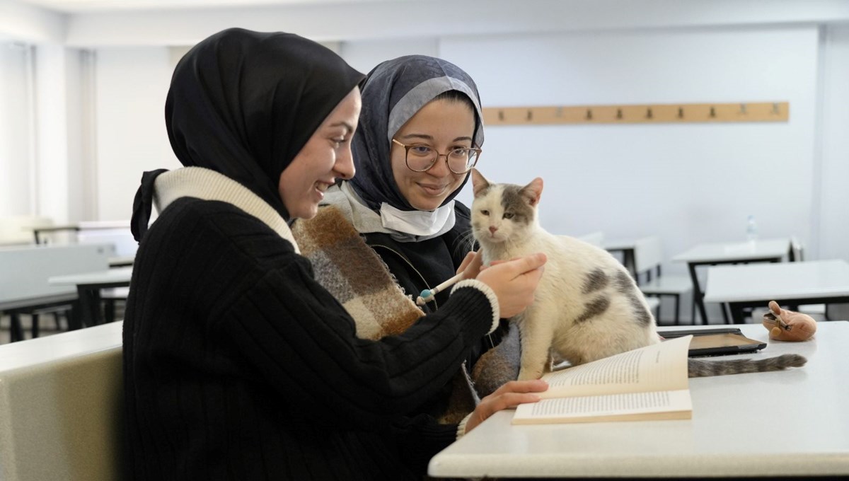 6 Şubat depreminden sonra fakültenin kedisi oldu: Labne'yi gören sevmeden bırakmıyor