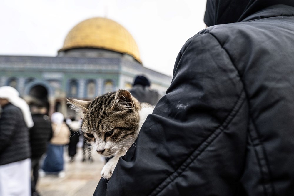 Mescid-i Aksa'da bayram sabahı | 60 bin Müslüman namaz kıldı - 10