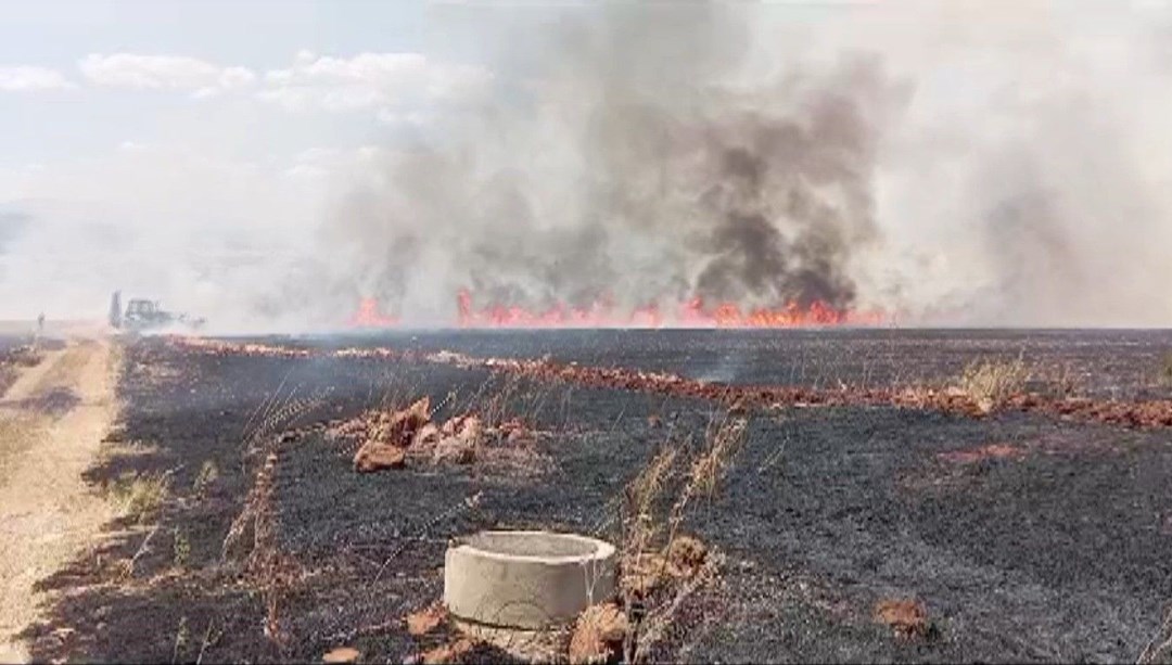 Kahramanmaraş'ta buğday tarlasında yangın çıktı