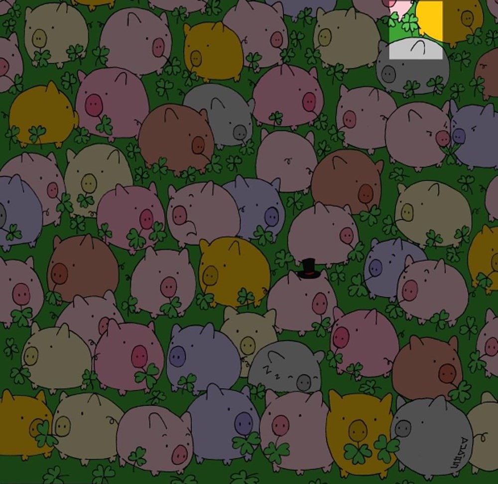 Bu görsel size kim olduğunuzu söylüyor: Resimde ilk önce hangi hayvanı gördünüz? - 69