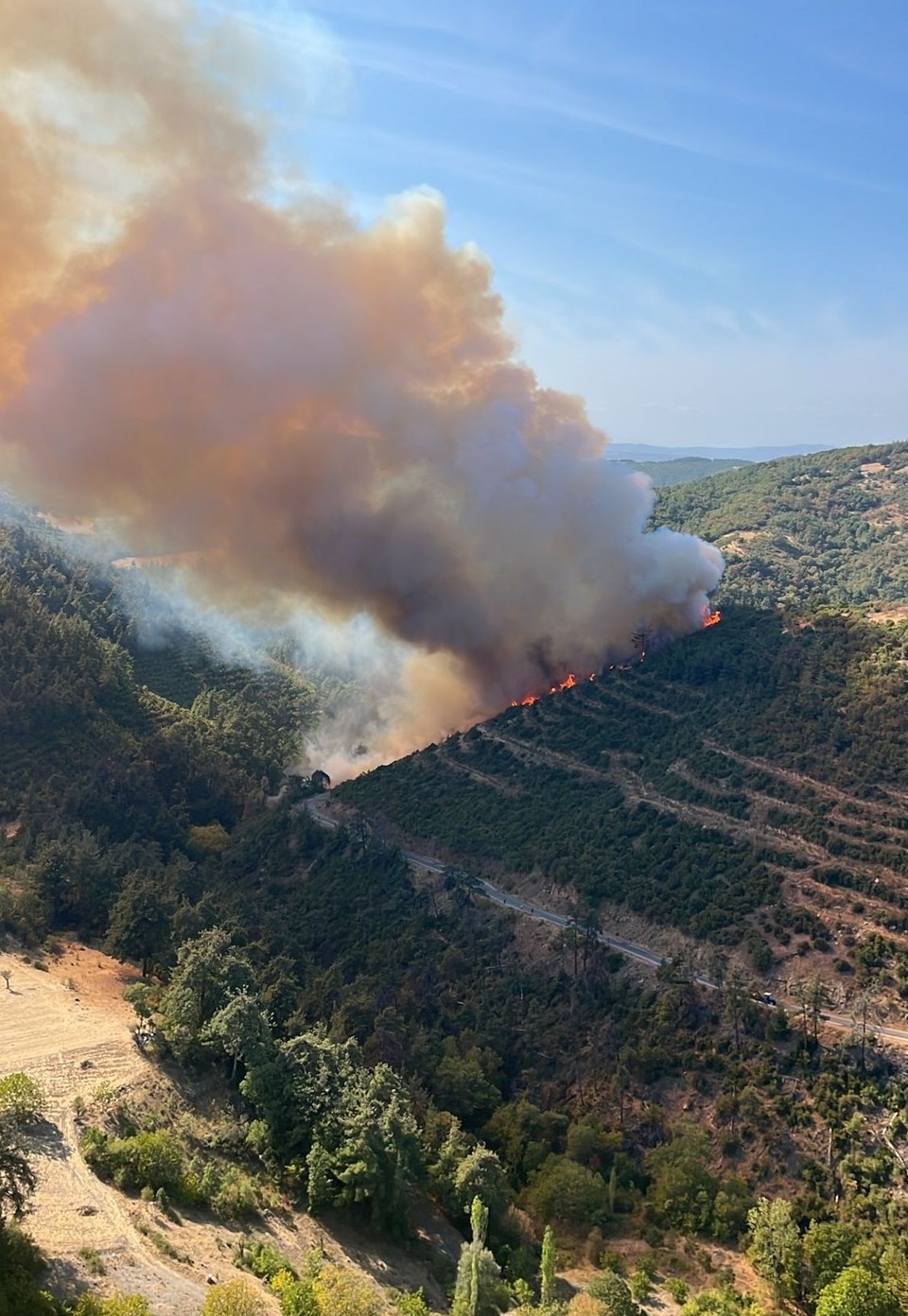 Bursa ve Balıkesir'de orman yangını - 1