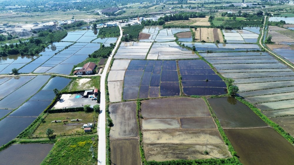 2YEr 1h7B0 mPgQvllk2GQ