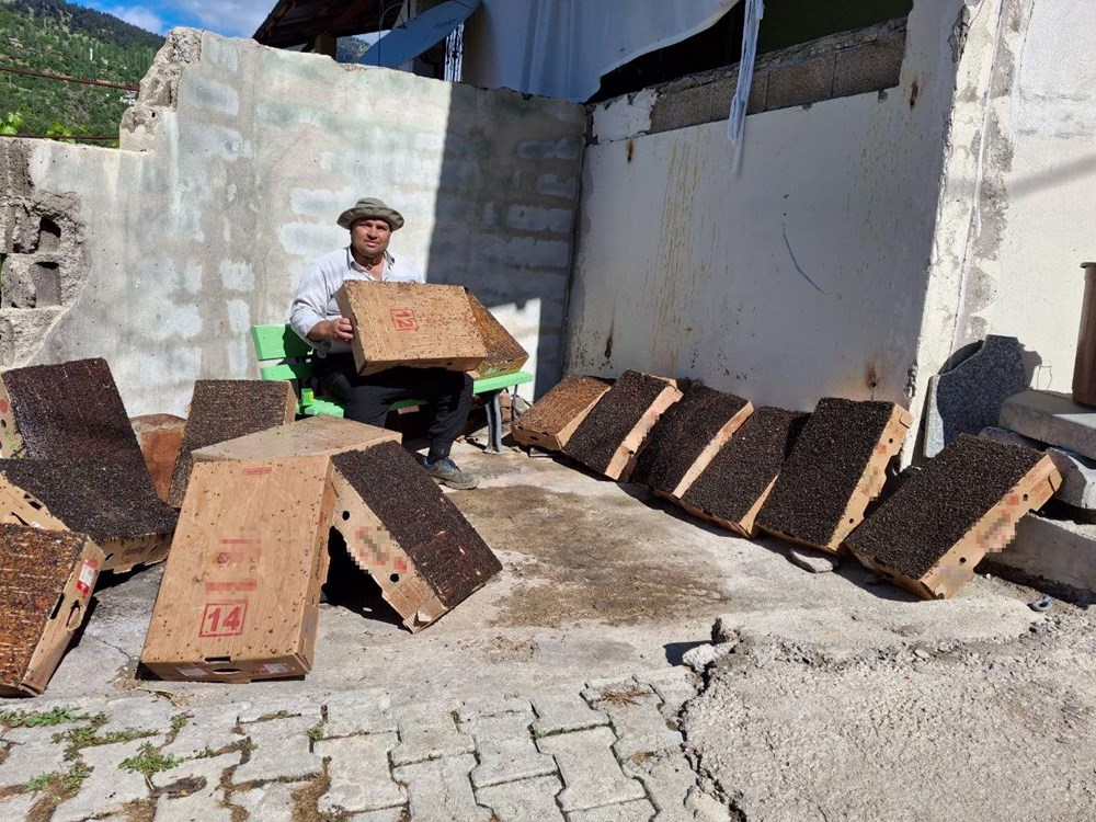 Sinekle mücadelede şaşırtan yöntem: Kartonlara fare yapıştırıcısı sürdü - 3