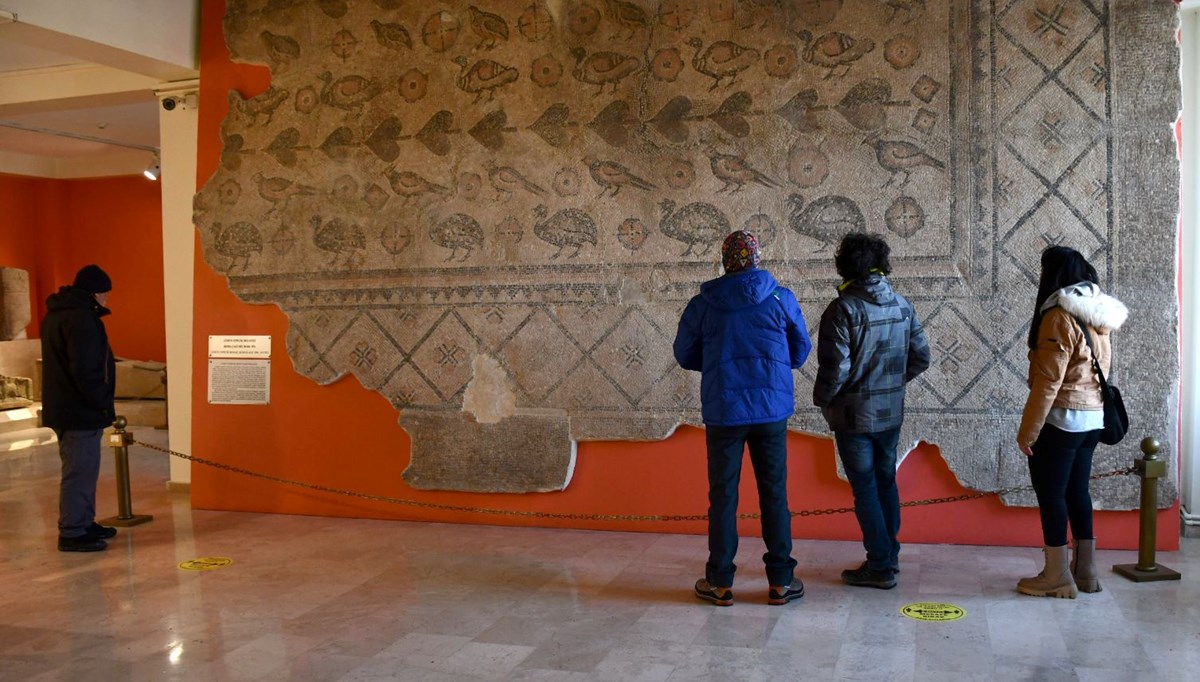 Ahır tabanında bulunan mozaik Sivas Arkeoloji Müzesi'nde