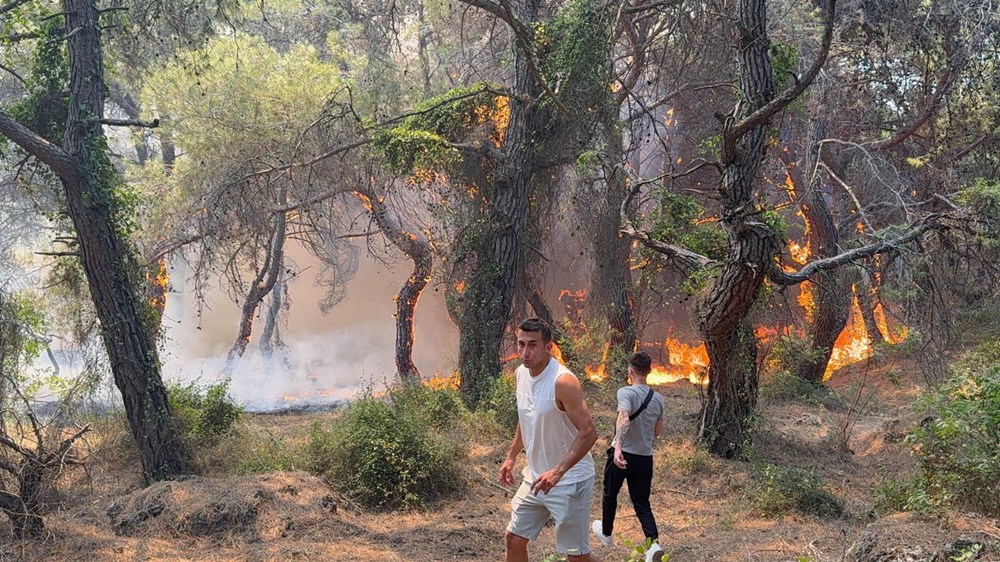 İzmir'de orman yangınları: Çeşme'de otoyol kapandı, Ödemiş'te bir kişi can verdi - 9