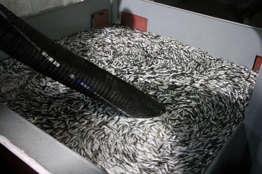 Av sezonu başladı: Balıkçılar "Vira Bismillah" diyerek denize açıldı - 13