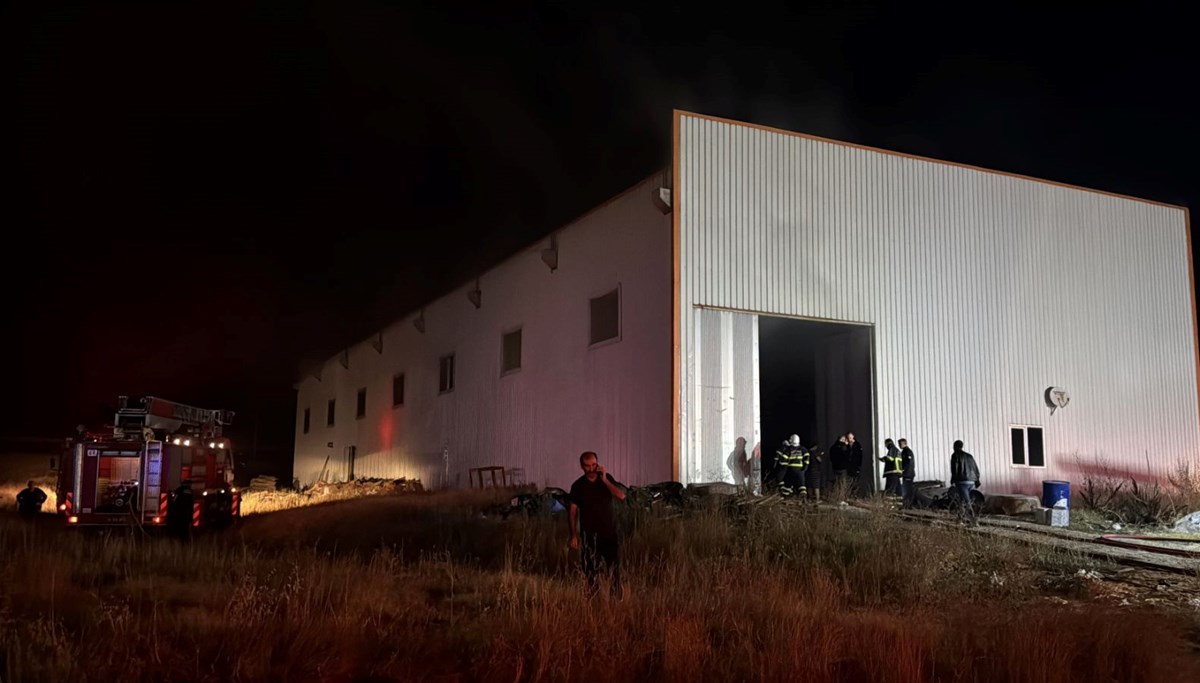 Sivas'ta ahşap üretim fabrikasında yangın