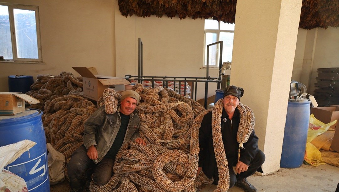 Şu andaki baş fiyatı 180 TL: Üreticisinin fiyat beklentisi 450 TL: