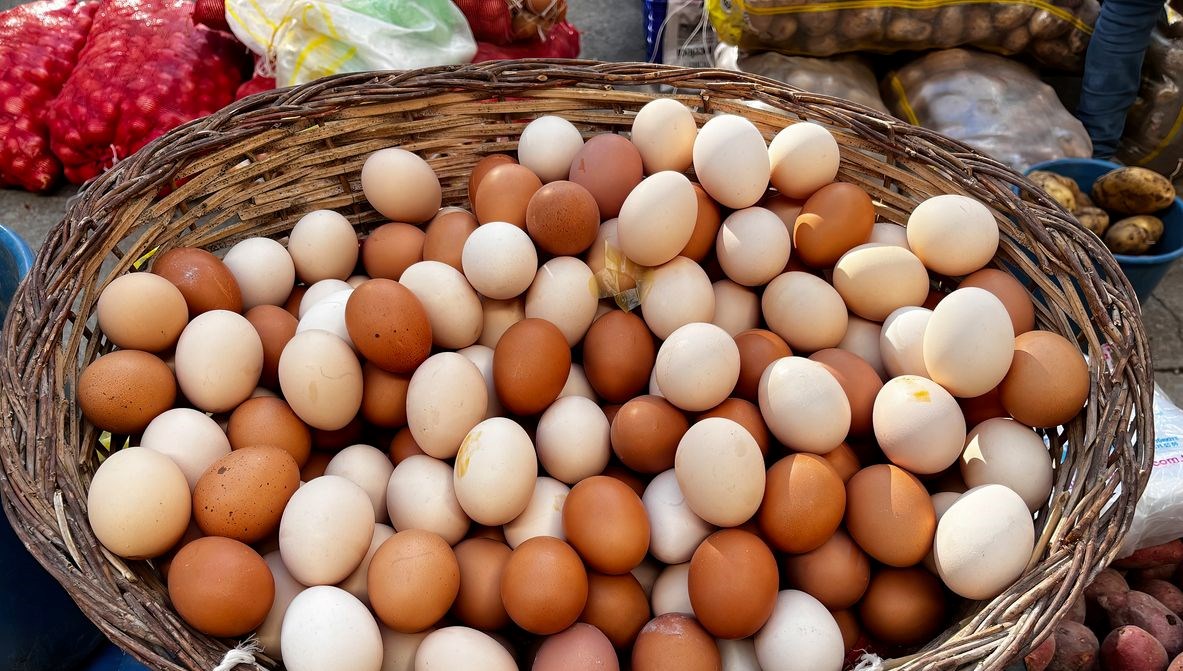 Beyaz mı, yoksa kahverengi yumurta mı: Hangisi daha sağlıklı?