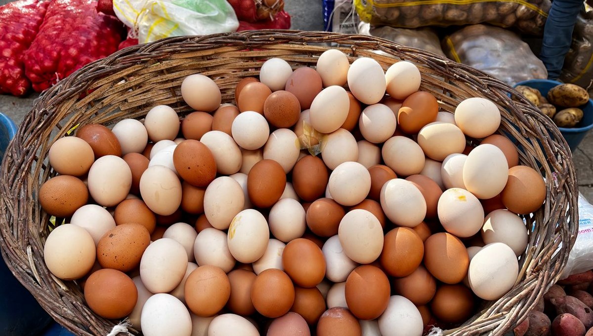 Beyaz mı, yoksa kahverengi yumurta mı: Hangisi daha sağlıklı?