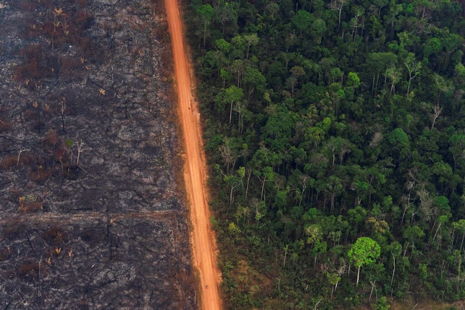 Brezilya Amazonları'nda yangınlar Ağustos'ta beş kattan fazla arttı - 1