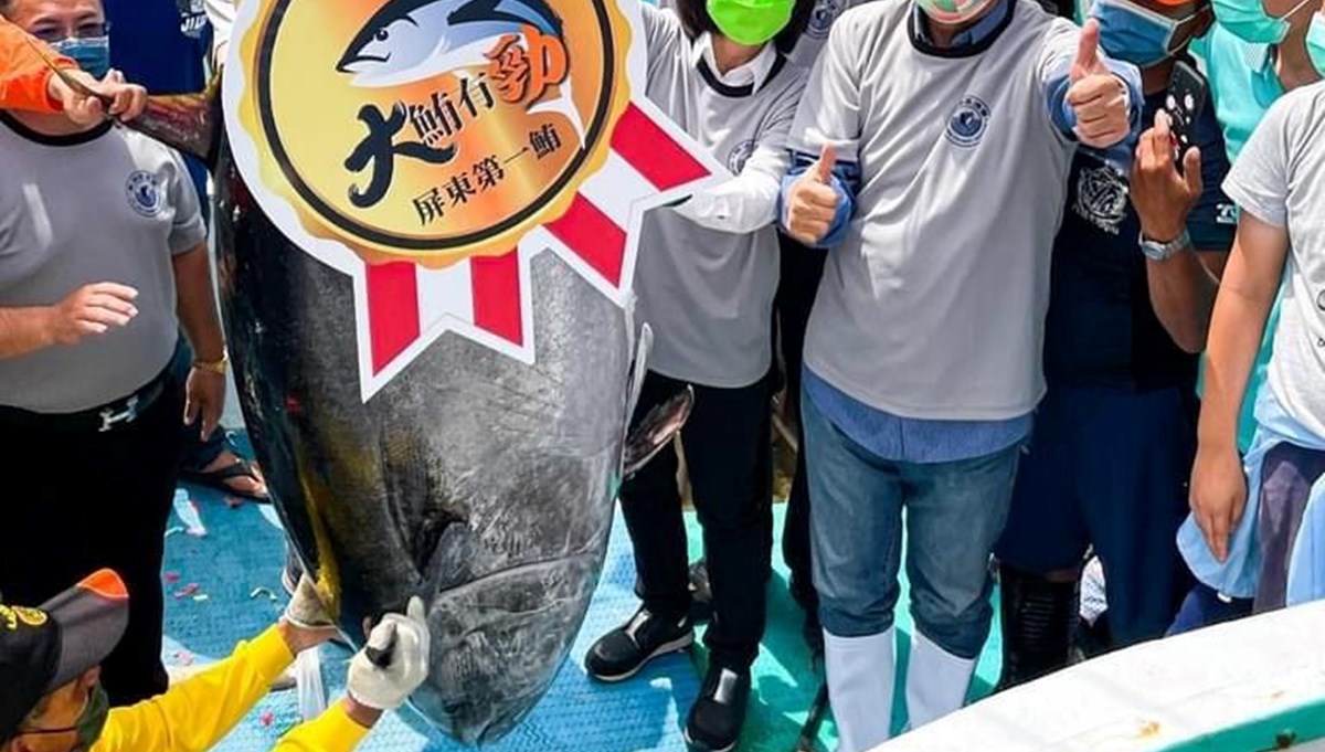 Tayvan'da dev ton balığı rekor fiyata satıldı