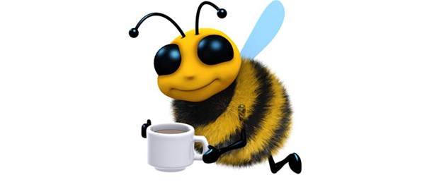 arı ile ilgili görsel sonucu