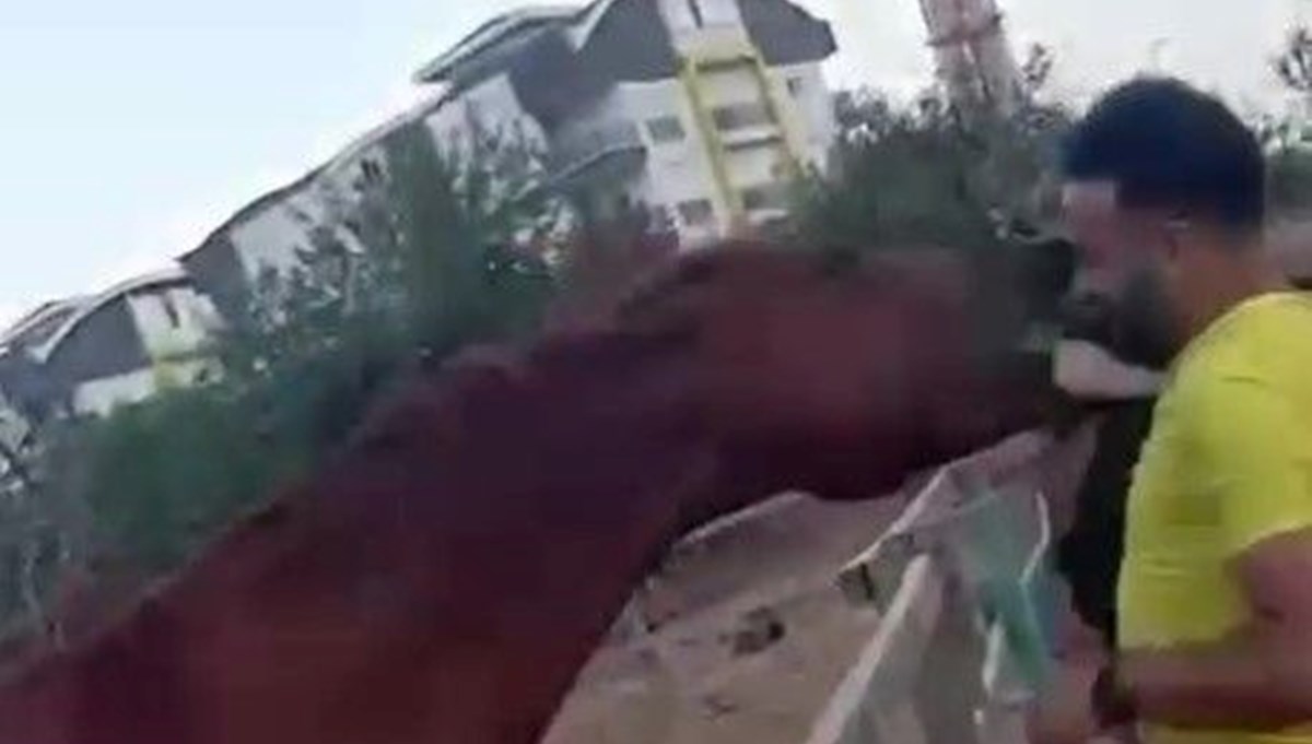At babasının kucağındaki çocuğu havaya fırlattı At babasının kucağındaki çocuğu havaya fırlattı