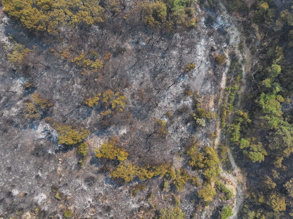 Orman yangınlarıyla mücadele: Yamanlar, Urla ve Göynük'teki yangınlar kontrol altında - 7