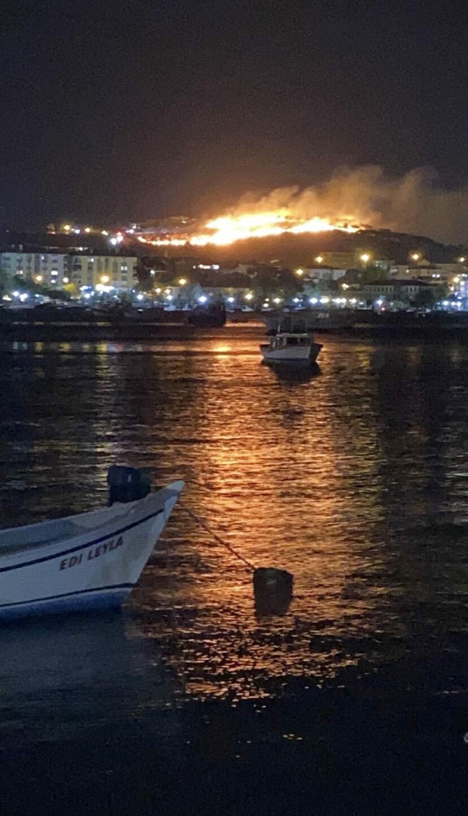 Ayvalık'taki yangında 6 hektar zarar gördü - 1