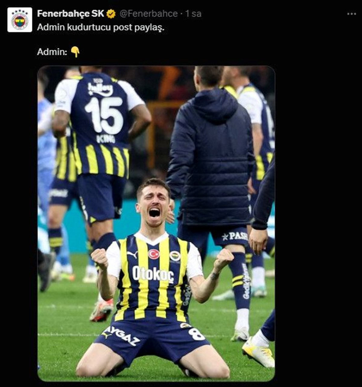 2iCvy8tthUOInNJWckdbCw.jpg