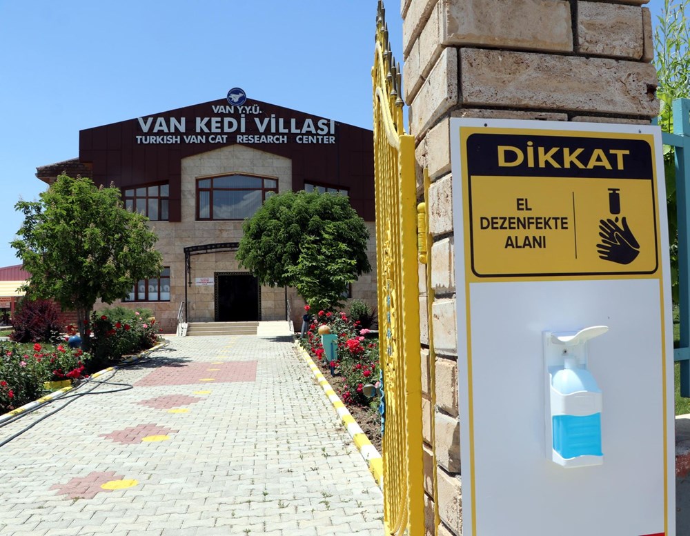 Kedi villası yeni kurallarla ziyarete açıldı Magazin Haberleri NTV