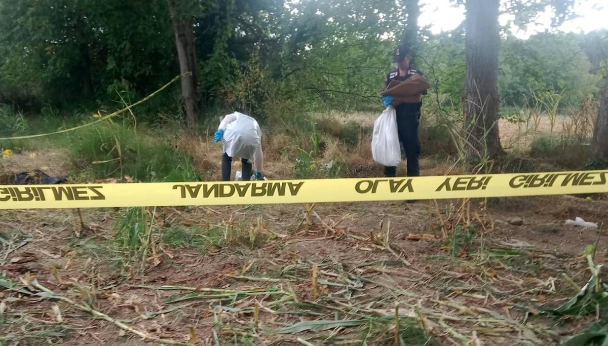 Tarlada kafatası ve kemikler bulundu Tarlada kafatası ve kemikler bulundu