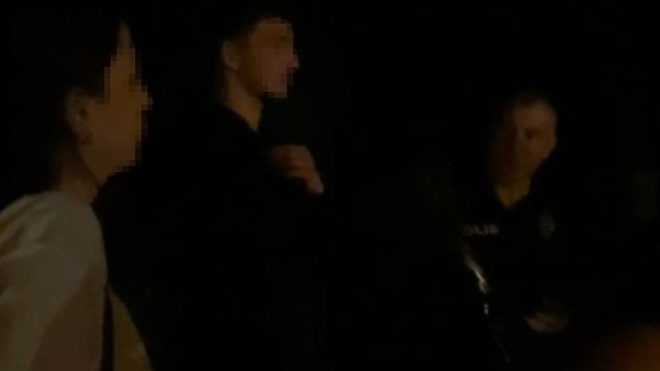 Ormandan çığlık sesi geldi, ekipler harekete geçti - 1