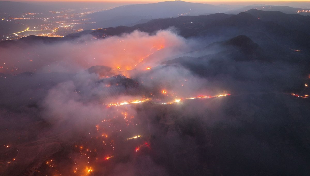 Denizli'de orman yangını Aydın'a sıçradı