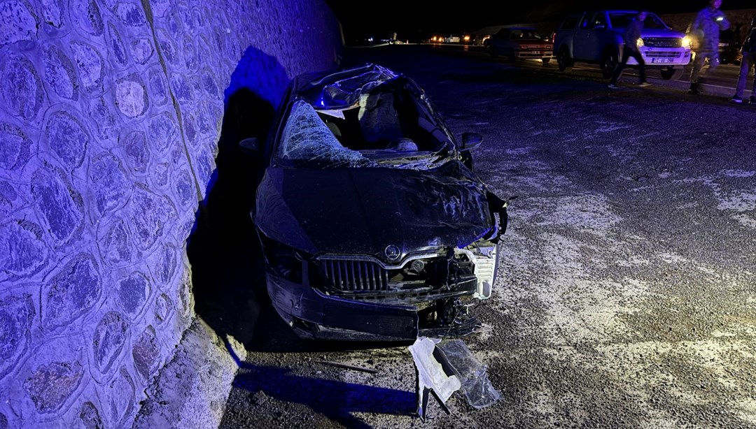 Bingöl'de feci kaza: Otomobil, ata çarptı: 1 ölü, 5 yaralı
