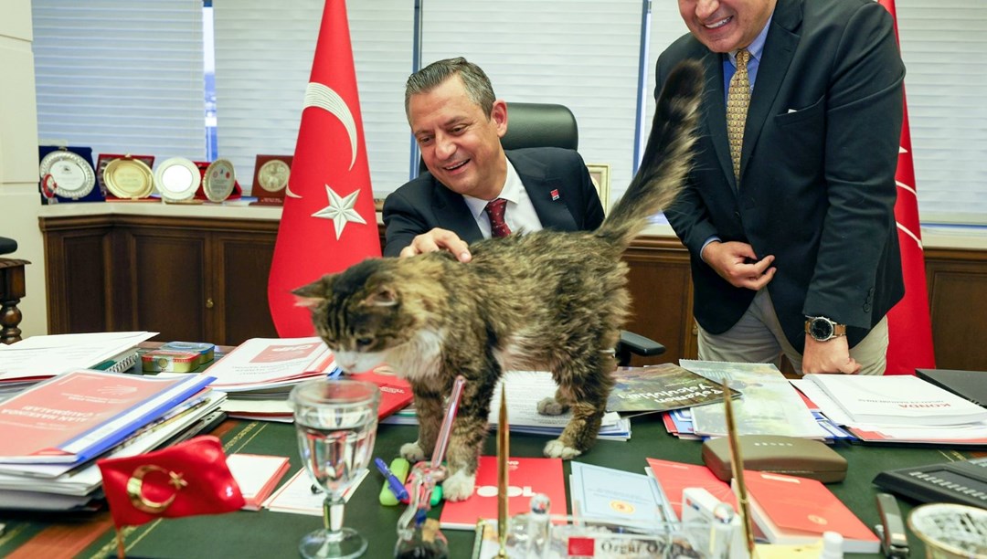 CHP'nin kedisi Şero taburcu oldu