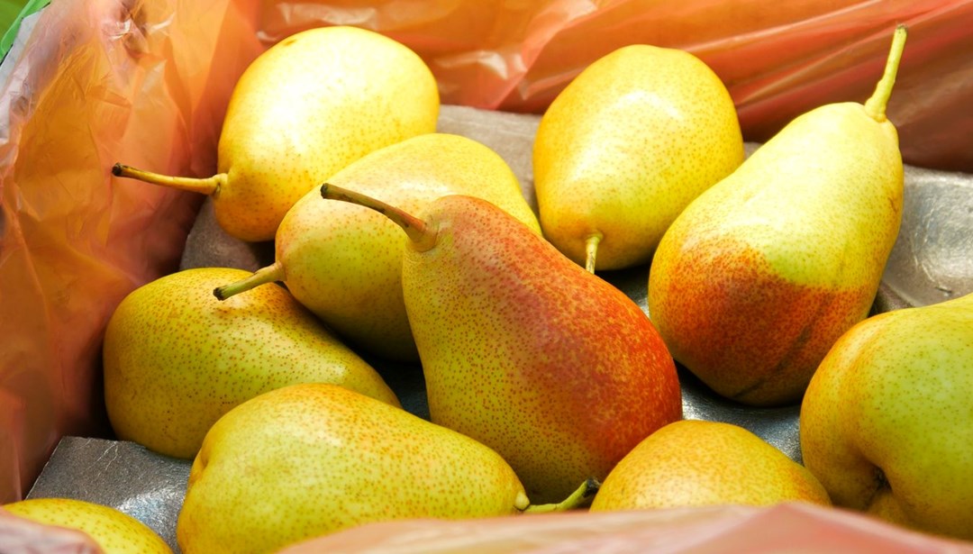 Kış armudu bitmeden yakalayın