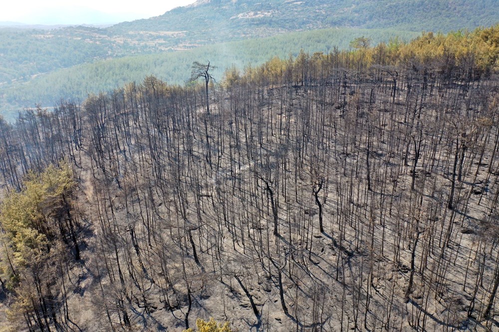Orman yangınlarıyla mücadele | 8 noktada yangın devam ediyor, yerleşim yerleri tehdit altında - 28