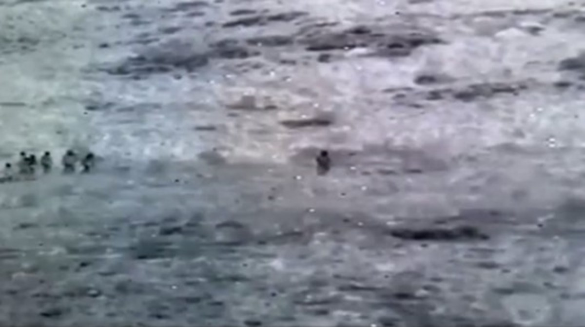 Sınır hattı termal kameralarla izleniyor (Görüntü: Arşiv)