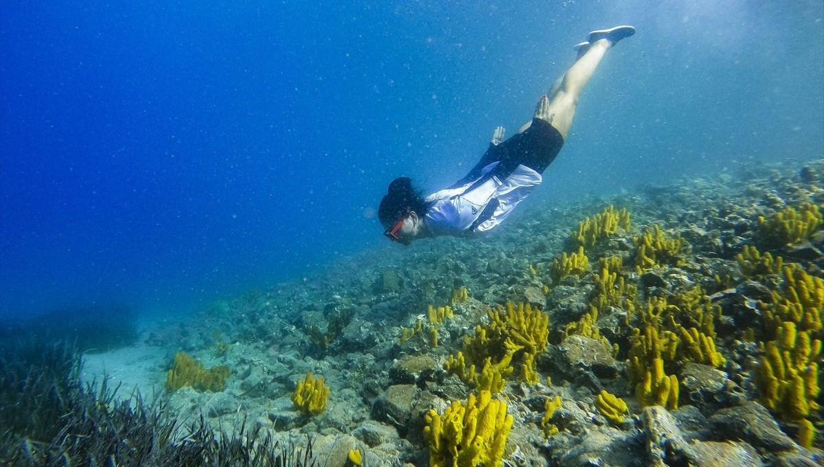 Göcek koyları serbest dalış tutkunlarını ağırlıyor