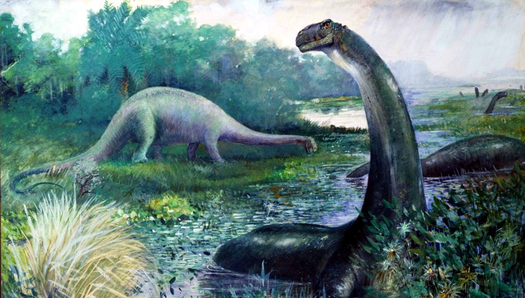 Bilim insanları bir dinozorda kanser buldu: İnsan tümörüyle aynı tür