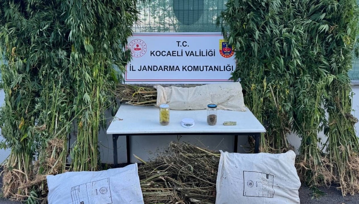 Kocaeli'de operasyon: 12 kilo 73 gram esrar ele geçirildi