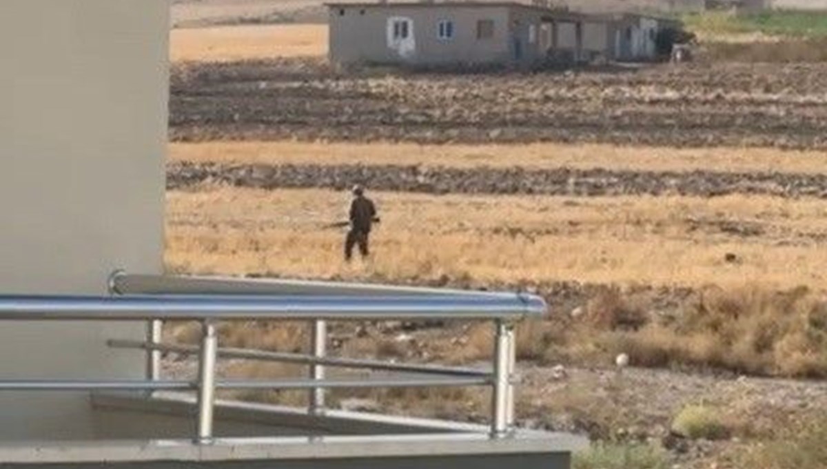 Tavuklarına zarar veren köpekleri pompalı tüfekle vurdu Tavuklarına zarar veren köpekleri pompalı tüfekle vurdu