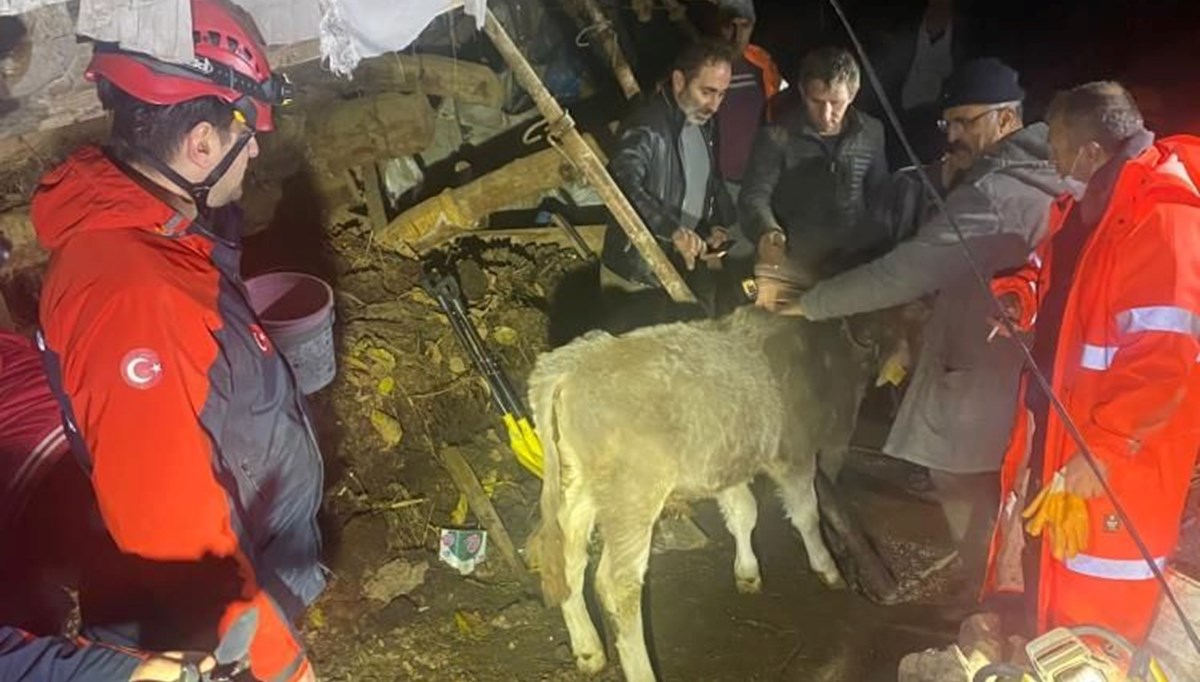 Artvin’de heyelan (Bir hayvan öldü, ahşap ev kullanılamaz durumda) Artvin’de heyelan (Bir hayvan öldü, ahşap ev kullanılamaz durumda)