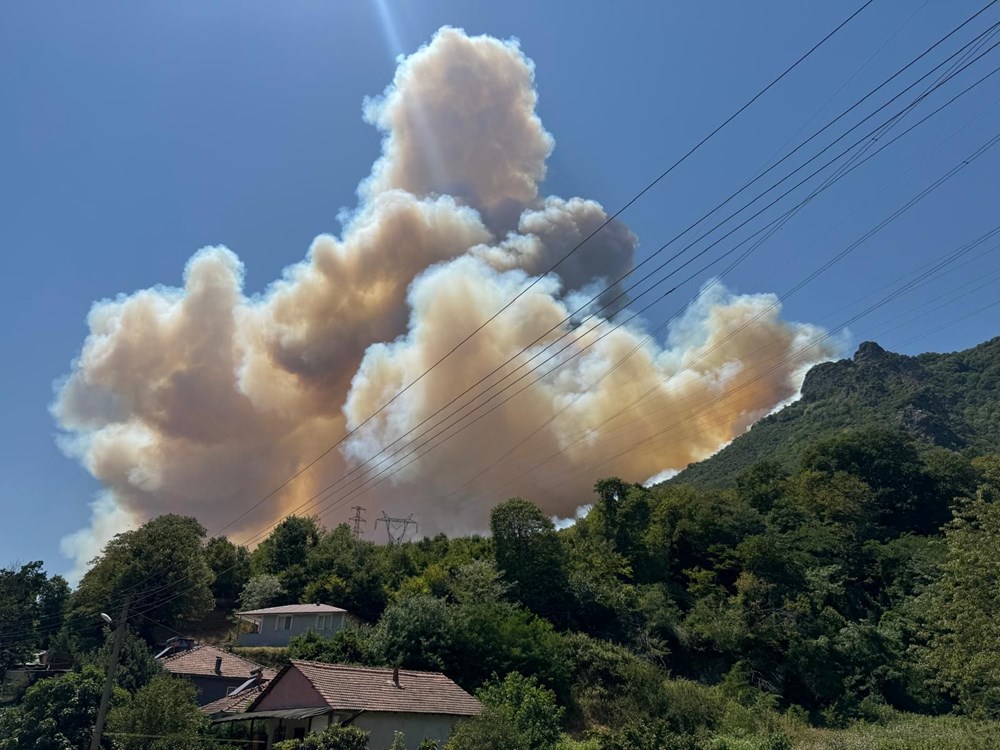Sakarya'da yeni orman yangını başladı: Dumanlar gökyüzünü sardı - 3