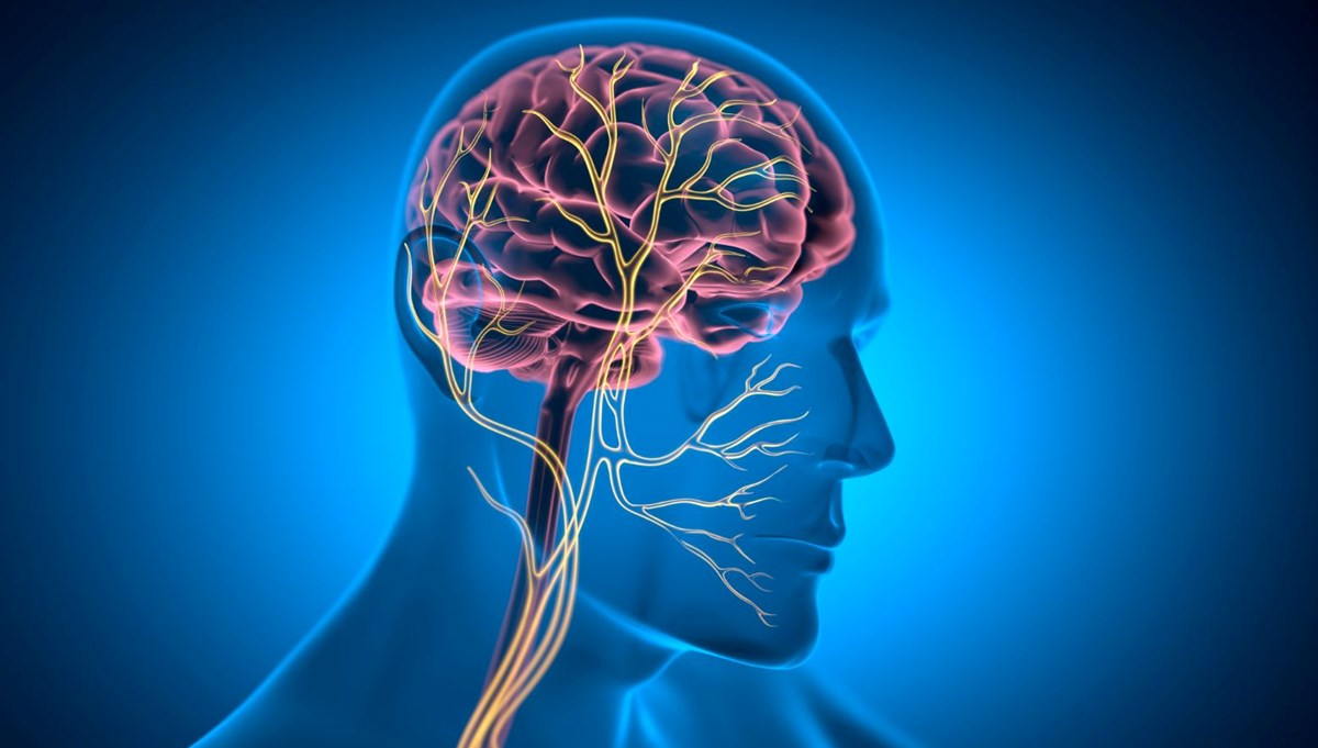 Vagus siniri ve psikoloji: Zihin ile beden arasında köprü