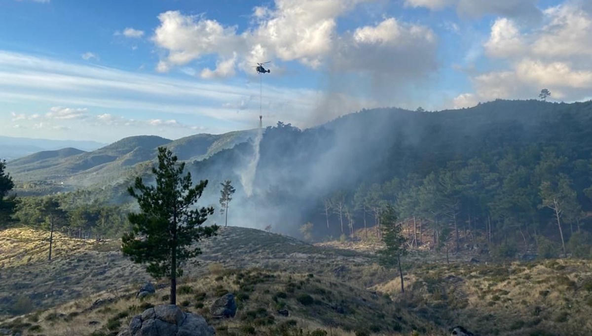 Balıkesir Edremit'teki orman yangınına müdahale ediliyor