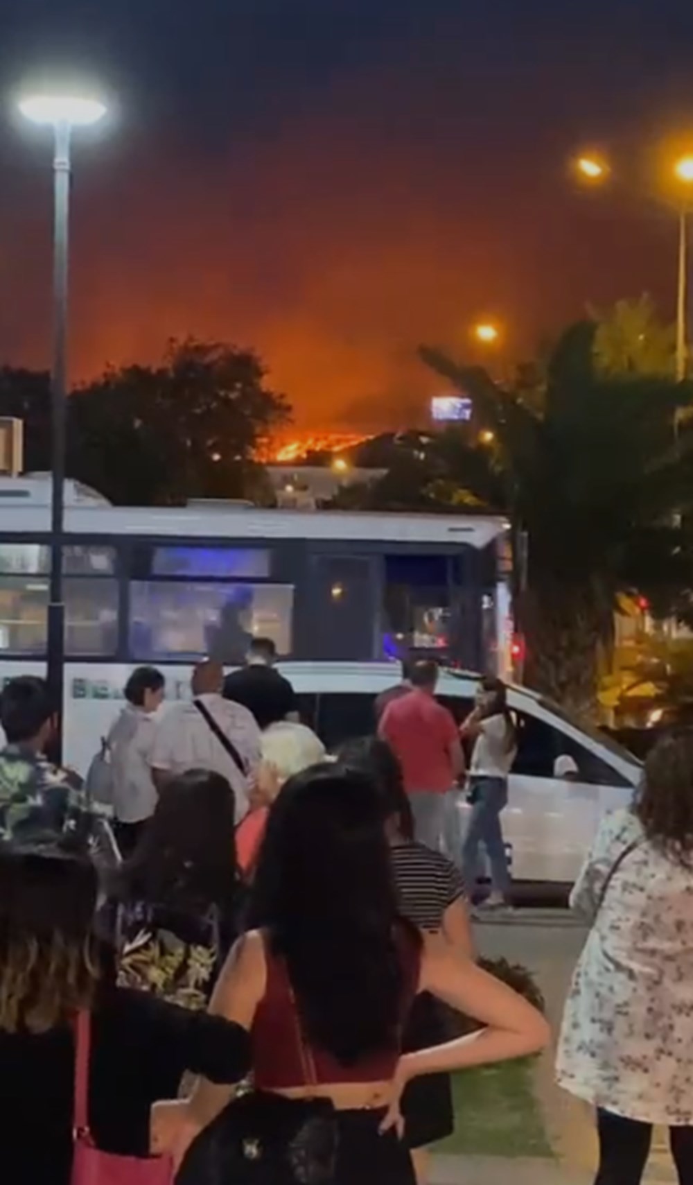 Çanakkale'de orman yangını (6 köy ve üniversite kampüsü tahliye edildi) - 25